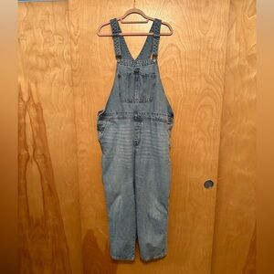 Denim Overalls
